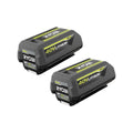 40V 4.0Ah Lithium-Ion Battery 2-Pack F964000