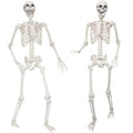 2 Pack 5.4ft Life Size Skeleton with Movable Joints O412