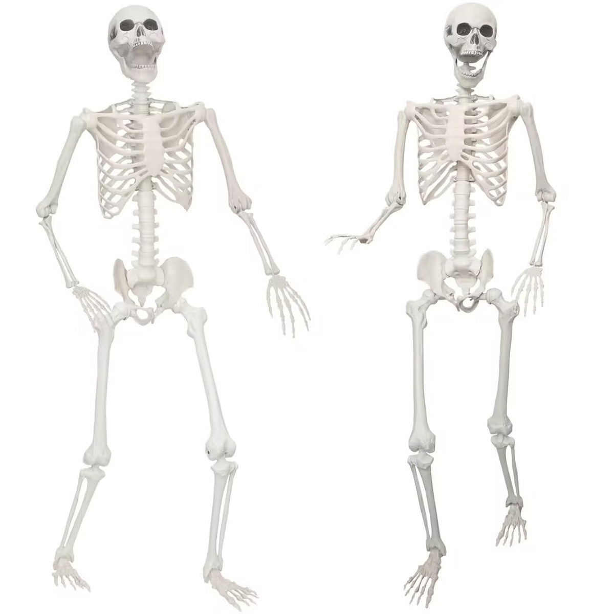 2 Pack 5.4ft Life Size Skeleton with Movable Joints O412