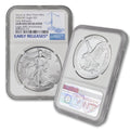 1 oz American Silver Eagle Coin H941591