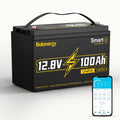 12V 100Ah LiFePO4 Lithium Battery Group 31 with 100A BMS Y731043