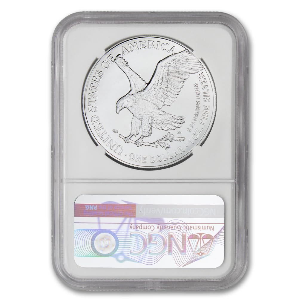 1 oz American Silver Eagle Coin H941591