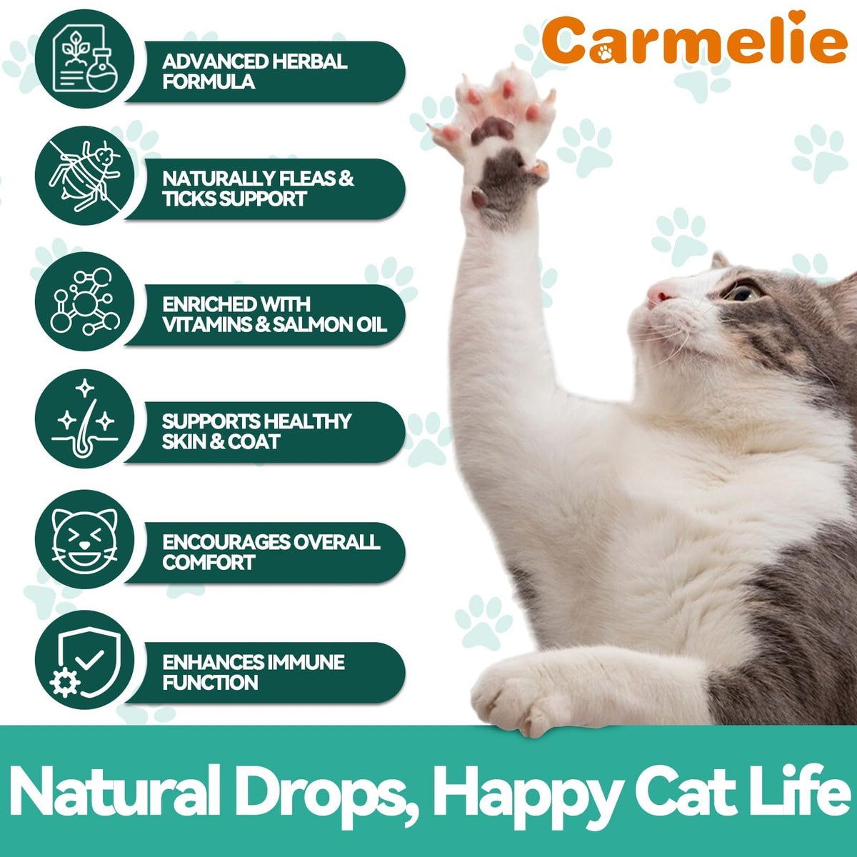 Flea and Tick Prevention for Cat with Vitamins Fish Oil 2 fl oz T521570