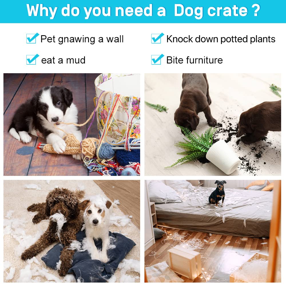 48" Heavy Duty Folding Wire Metal Dog Crate with Divider P874585