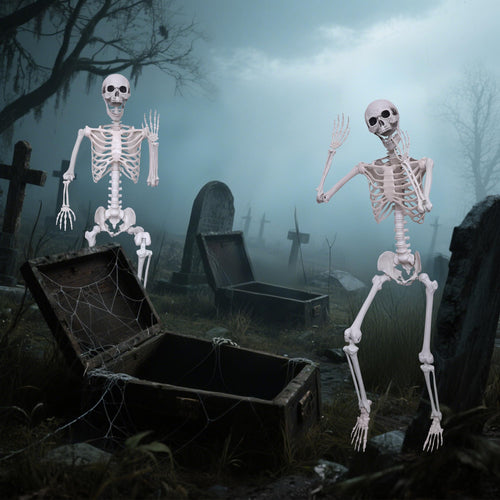 2 Pack 5.4ft Life Size Skeleton with Movable Joints O412