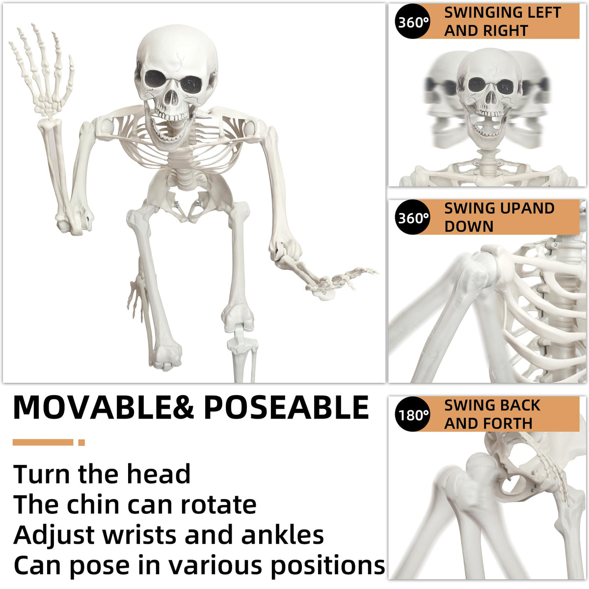 2 Pack 5.4ft Life Size Skeleton with Movable Joints O412