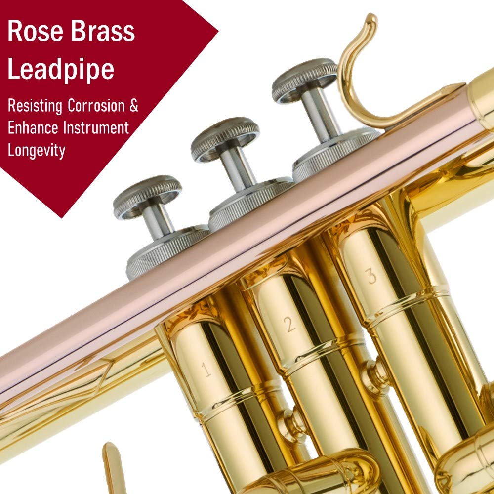 Bb Trumpet Set Rose Brass Leadpipe T337