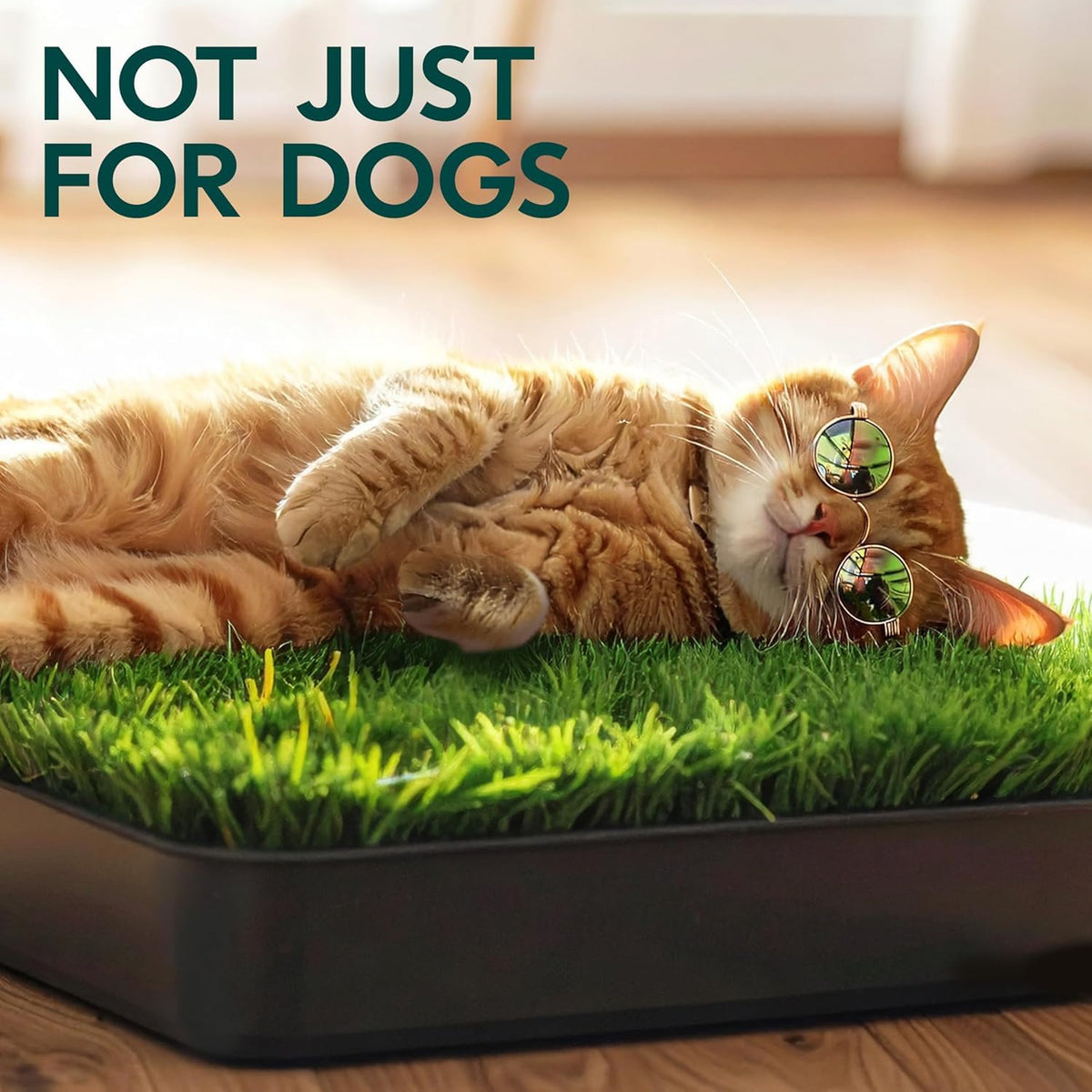 23”x35” Artificial Grass Dog Potty Pad with Tray Z63578