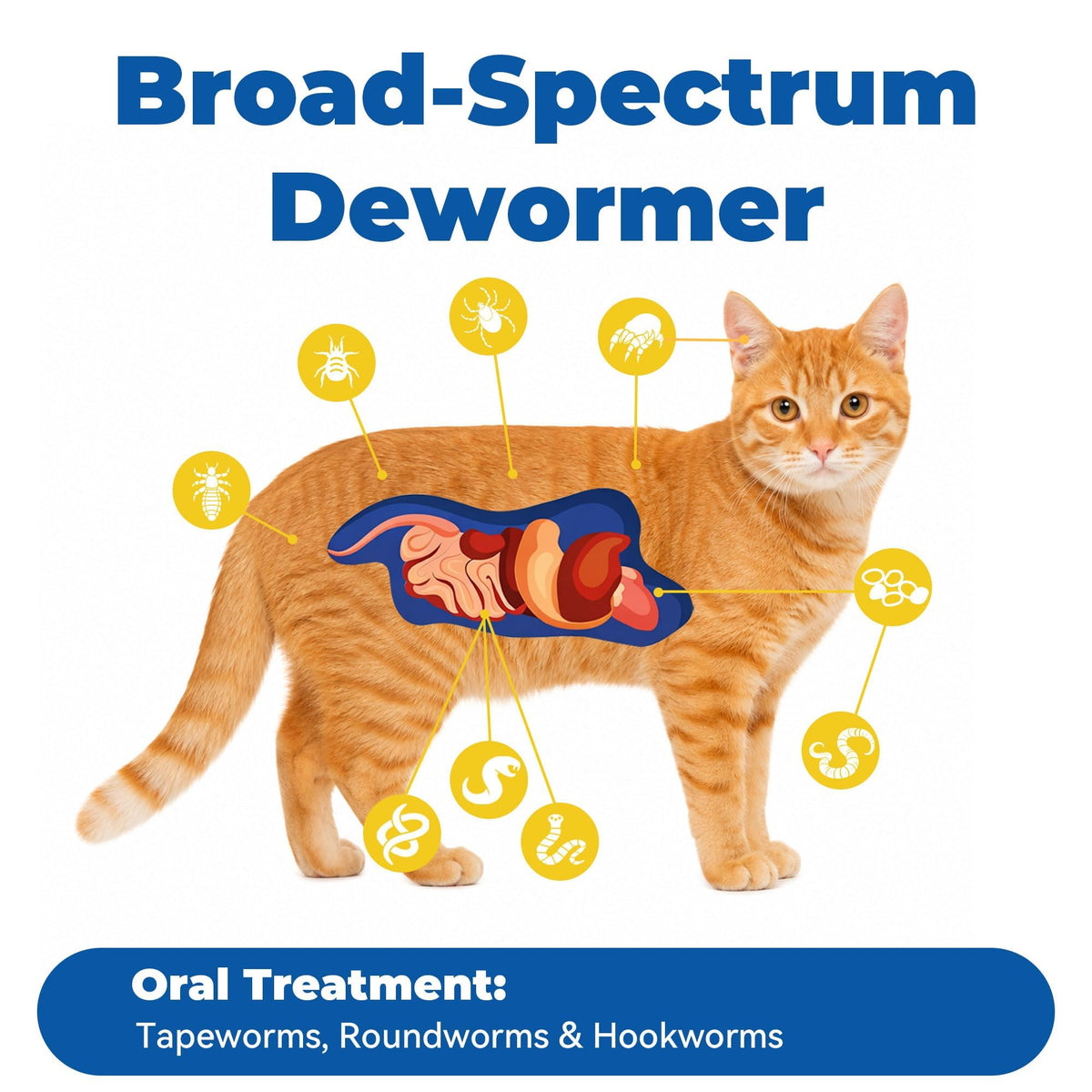 7 Way De-Wormer Chewable Tablets for Dogs & Cats, 50 Count C474