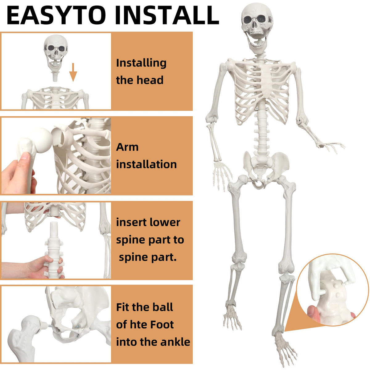 2 Pack 5.4ft Life Size Skeleton with Movable Joints O412