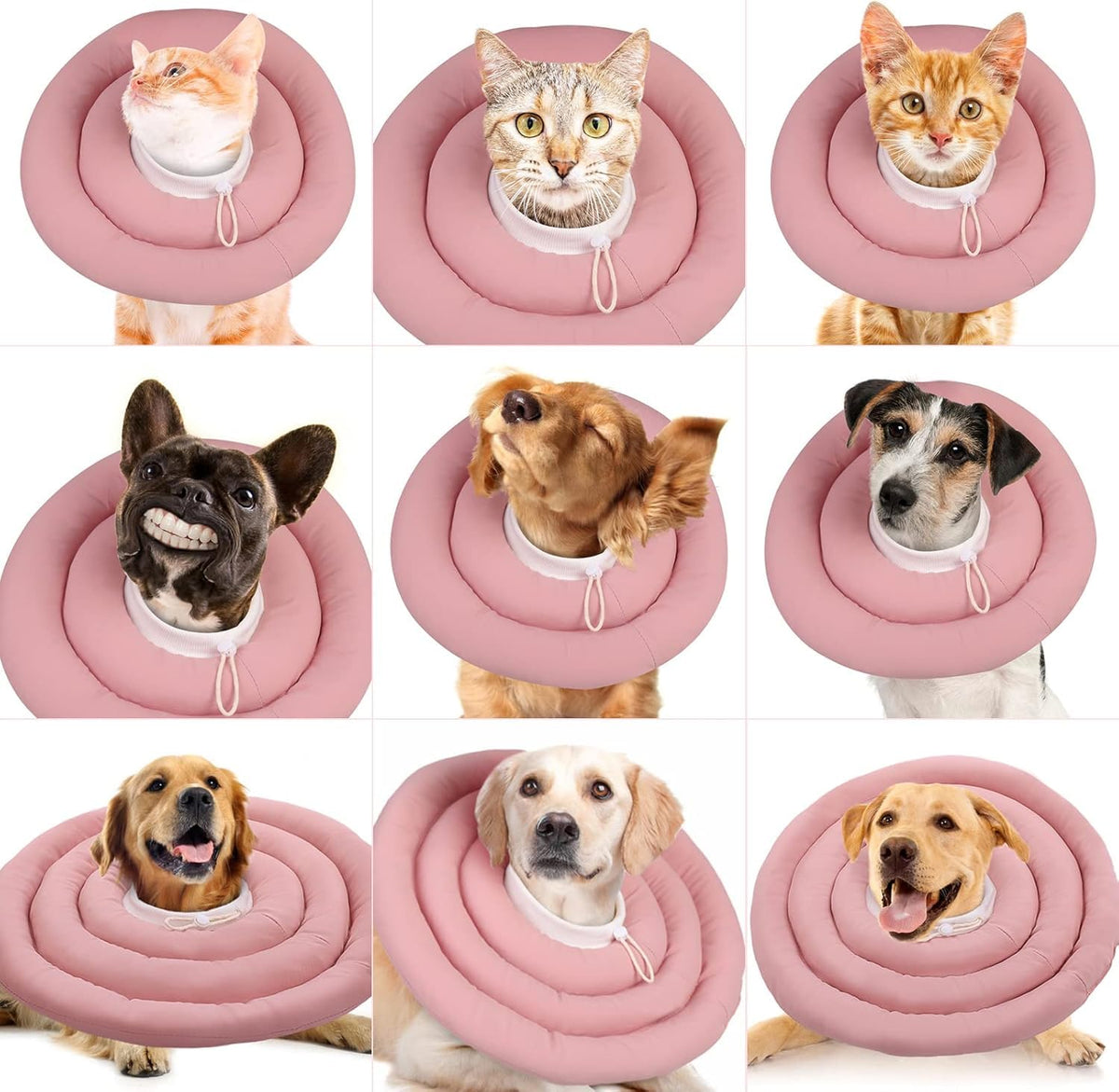 Waterproof Soft Dog Recovery Collar D555073