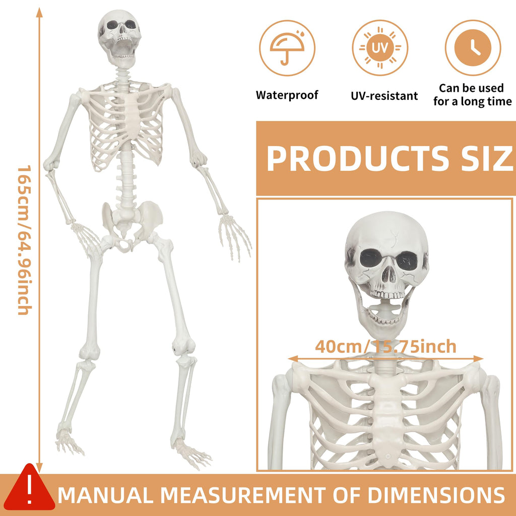 2 Pack 5.4ft Life Size Skeleton with Movable Joints O412