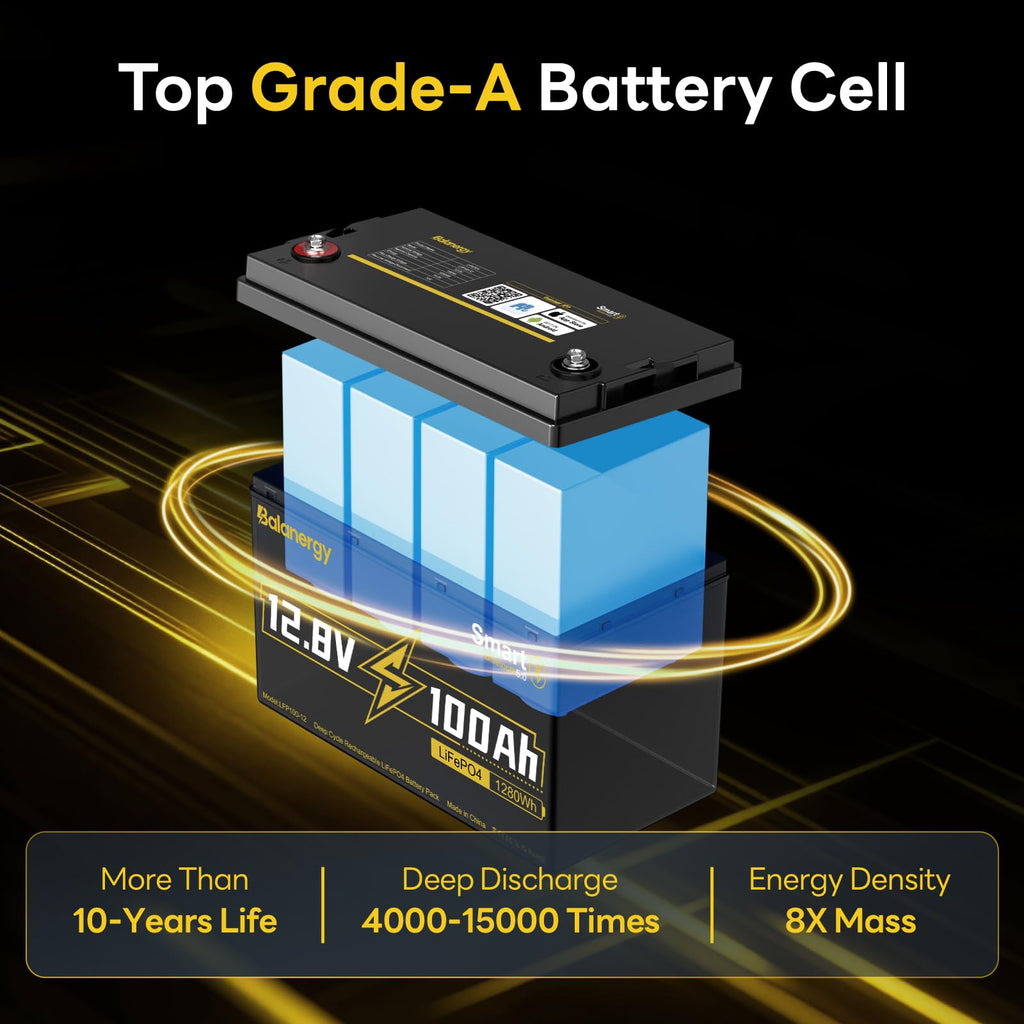12V 100Ah LiFePO4 Lithium Battery Group 31 with 100A BMS Y731043