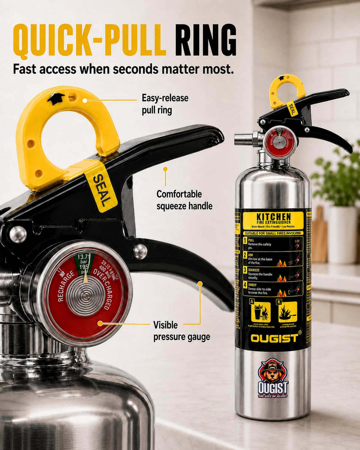 Class K Fire Extinguisher 34 Fl Oz Wet Chemical G76962