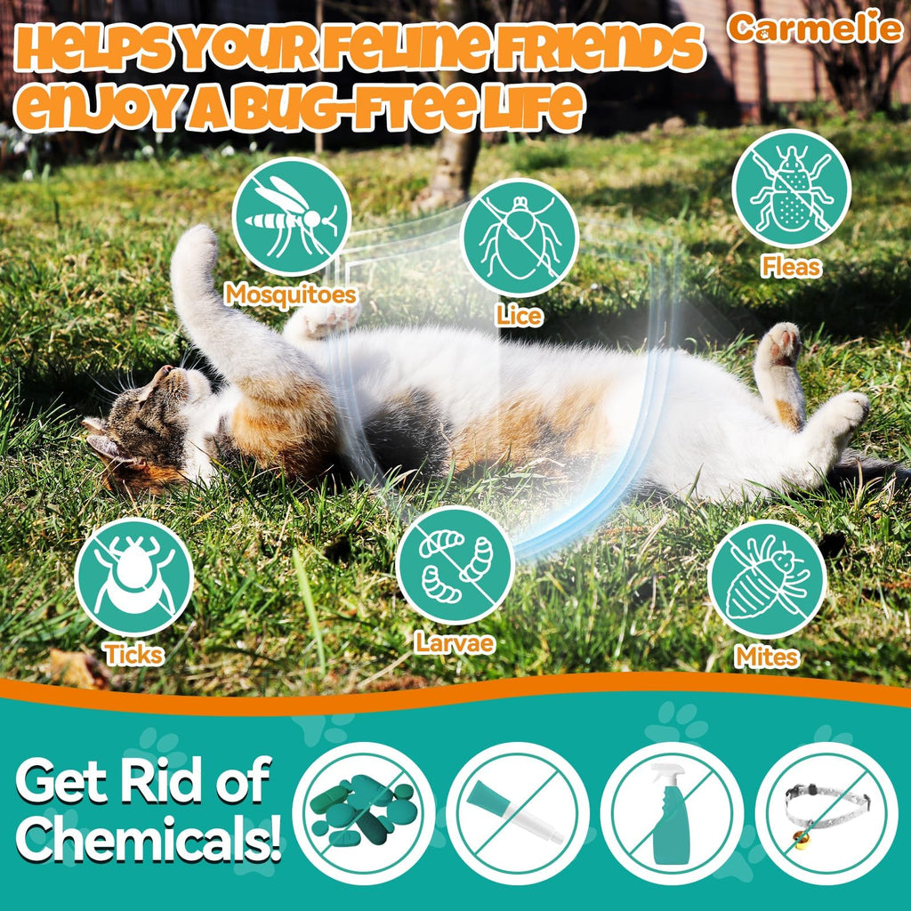 Flea and Tick Prevention for Cat with Vitamins Fish Oil 2 fl oz T521570