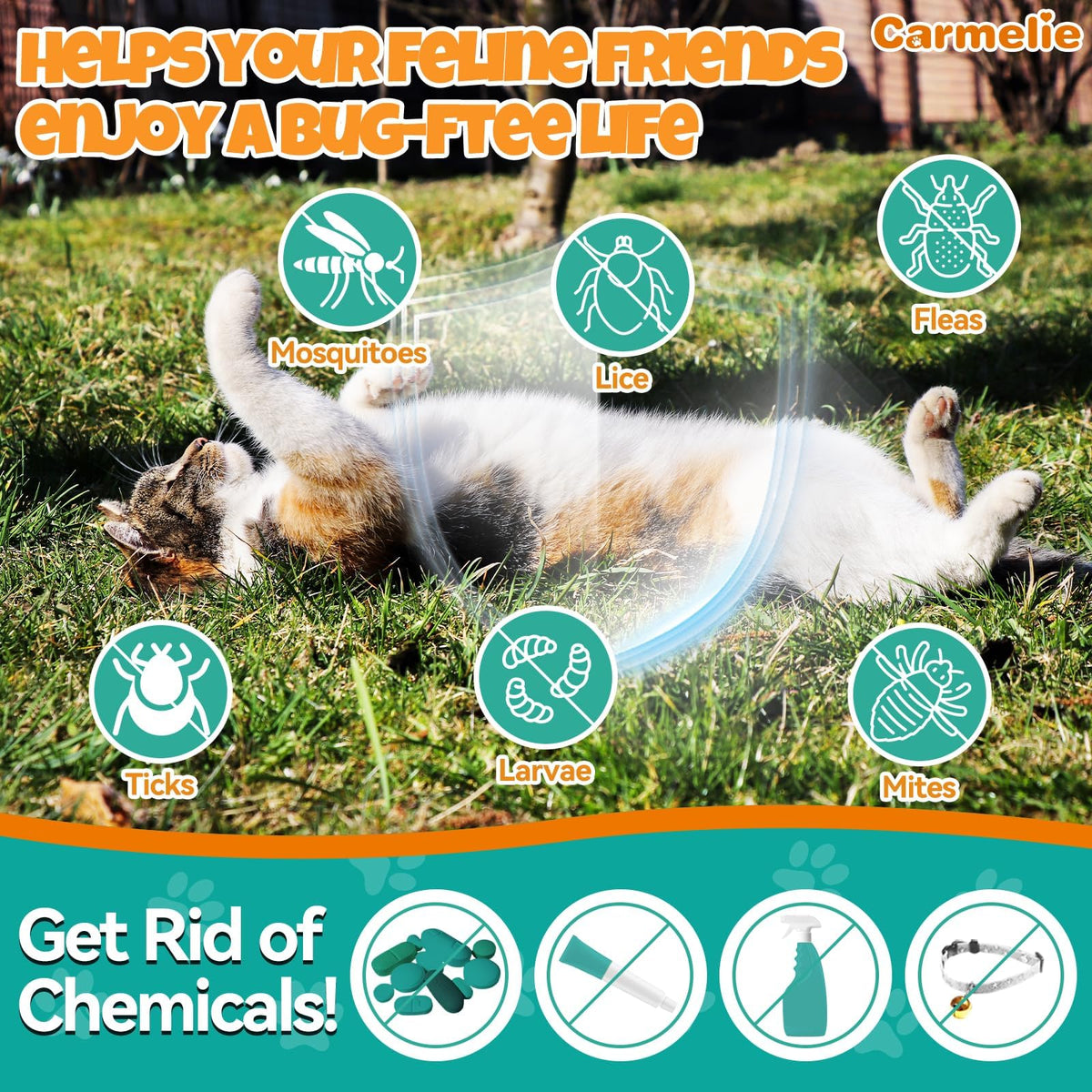 Flea and Tick Prevention for Cat with Vitamins Fish Oil 2 fl oz T521570