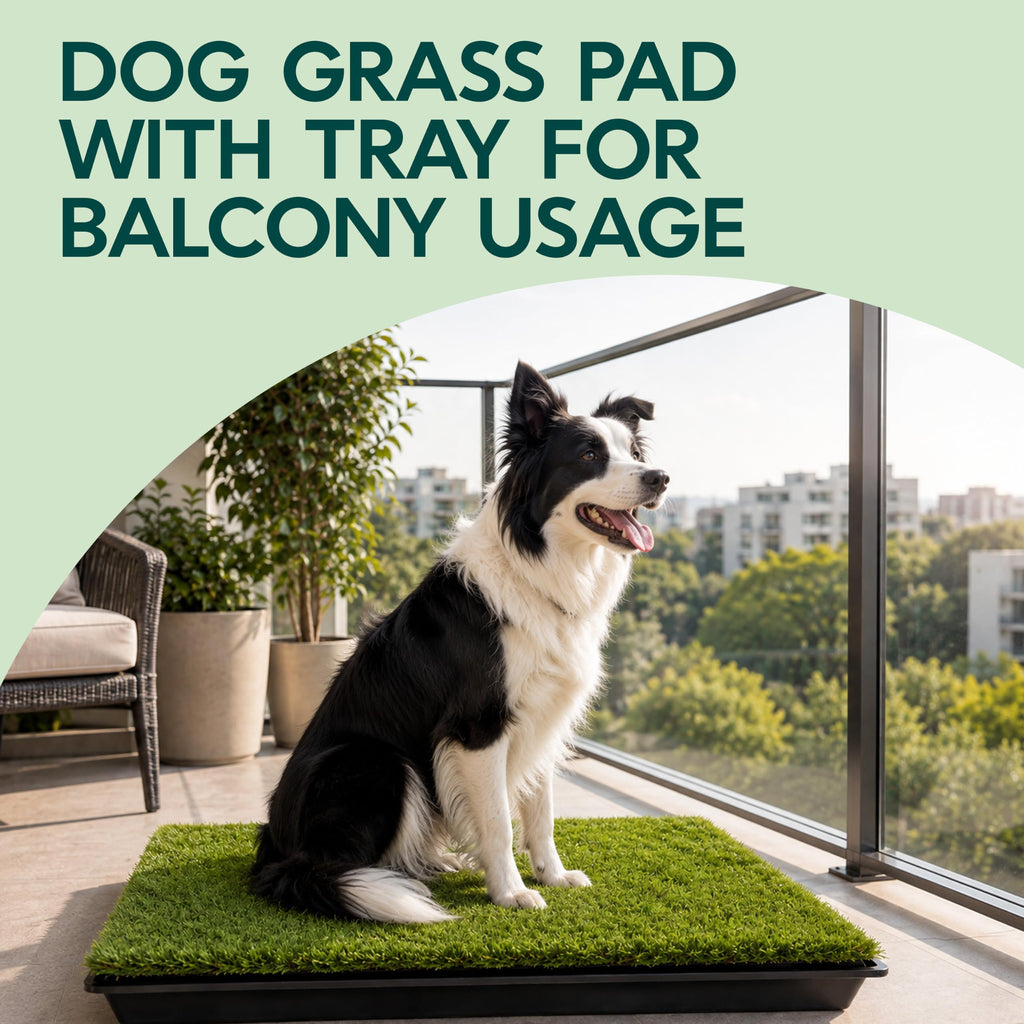 23”x35” Artificial Grass Dog Potty Pad with Tray Z63578