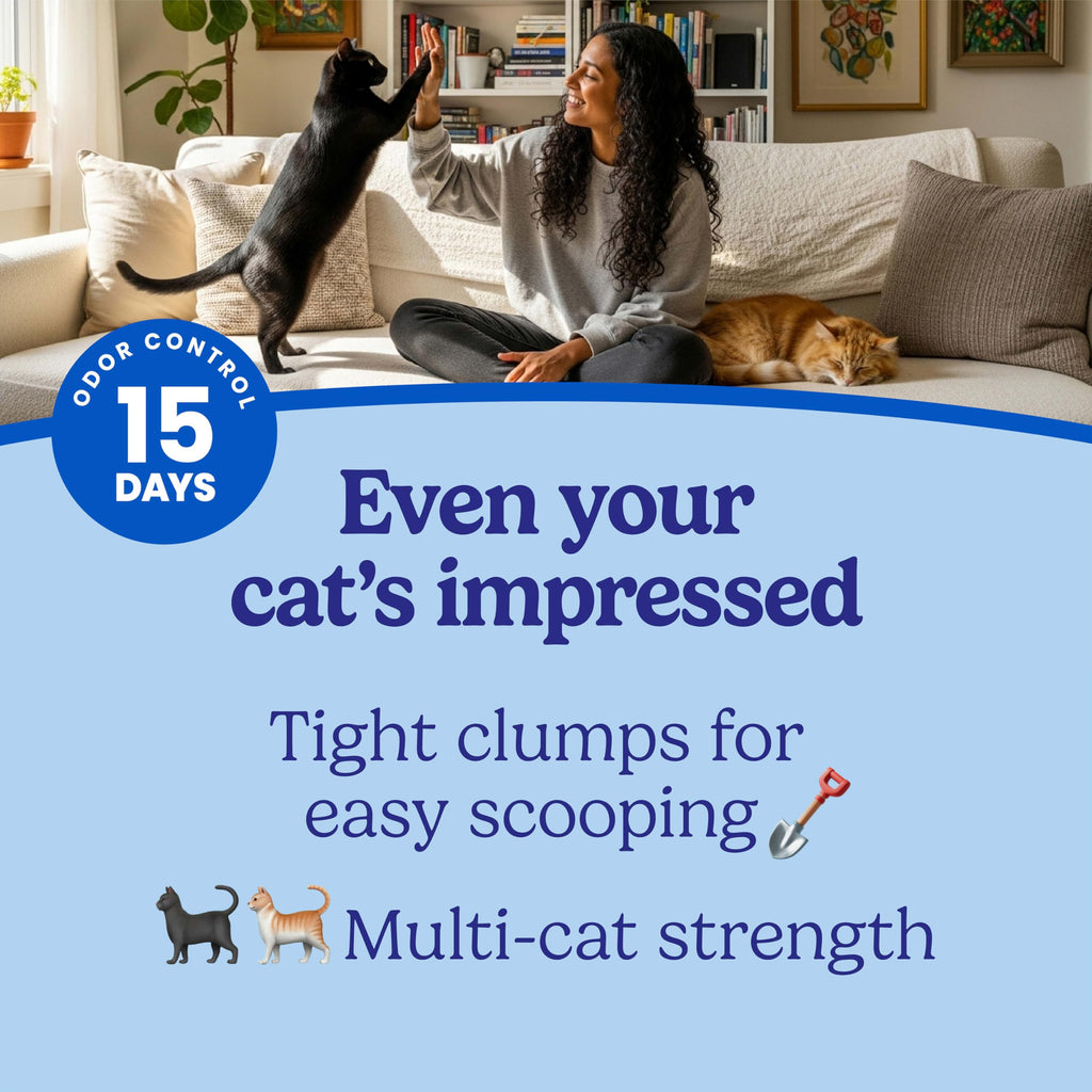 22 lb Clumping Cat Litter U6361
