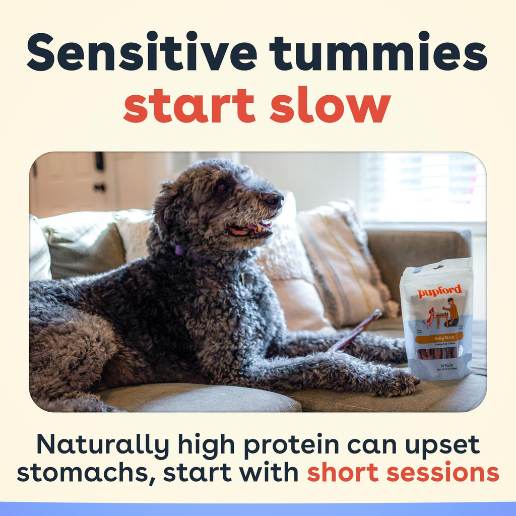 Bully Sticks for Dogs & Puppies, 6", 10 Count I793