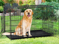 48" Heavy Duty Folding Wire Metal Dog Crate with Divider P874585