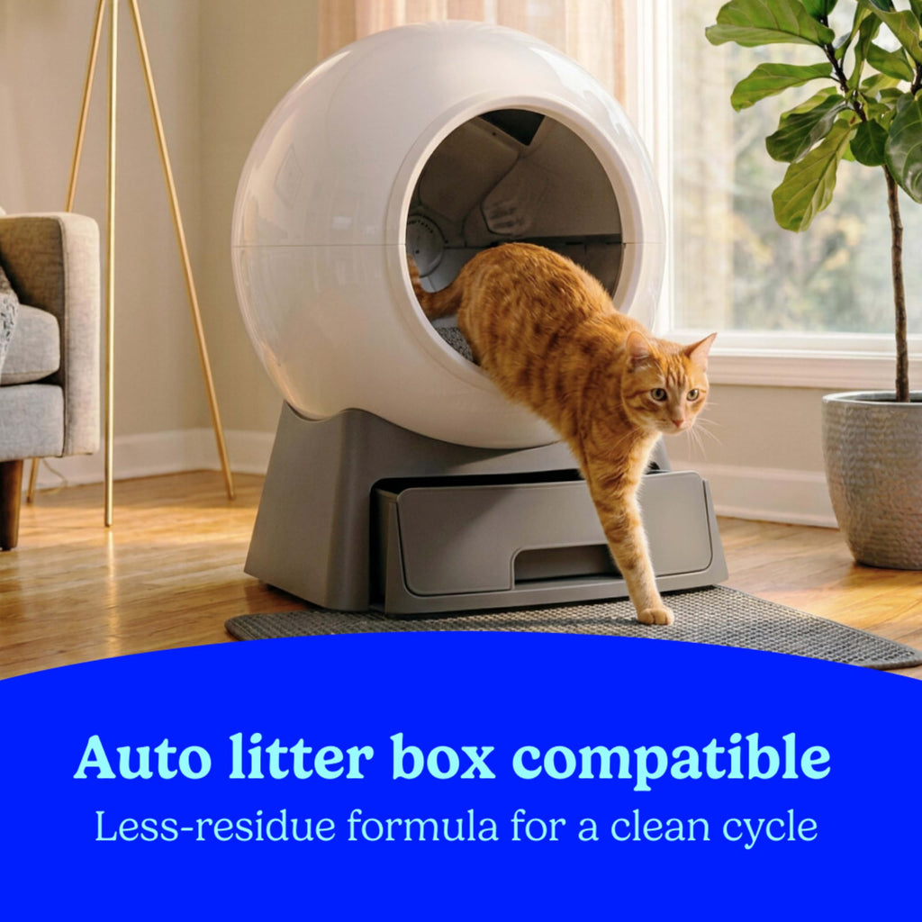 22 lb Clumping Cat Litter U6361