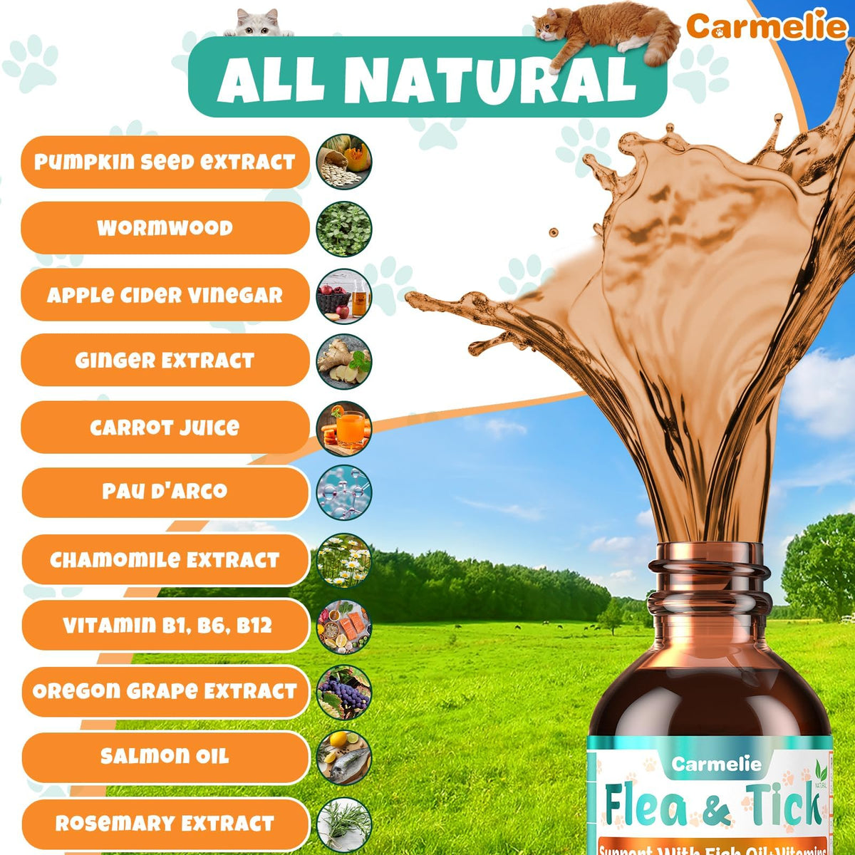 Flea and Tick Prevention for Cat with Vitamins Fish Oil 2 fl oz T521570